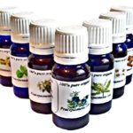 Angel's Mist Rosemary Essential Oil