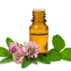 Dream 5 ml (size: 5 ml)