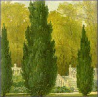 Cypress Essential Oil (size: sample)