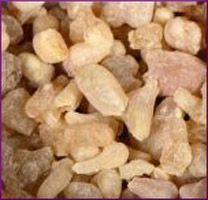Frankincense Essential Oil (size: sample)