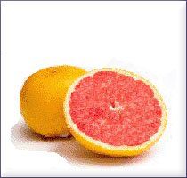 Grapefruit Essential Oil (size: sample)