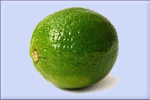 Lime Essential Oil (size: sample)