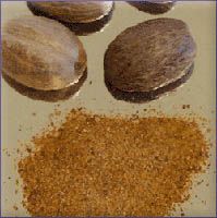 Nutmeg Essential Oil (size: sample)